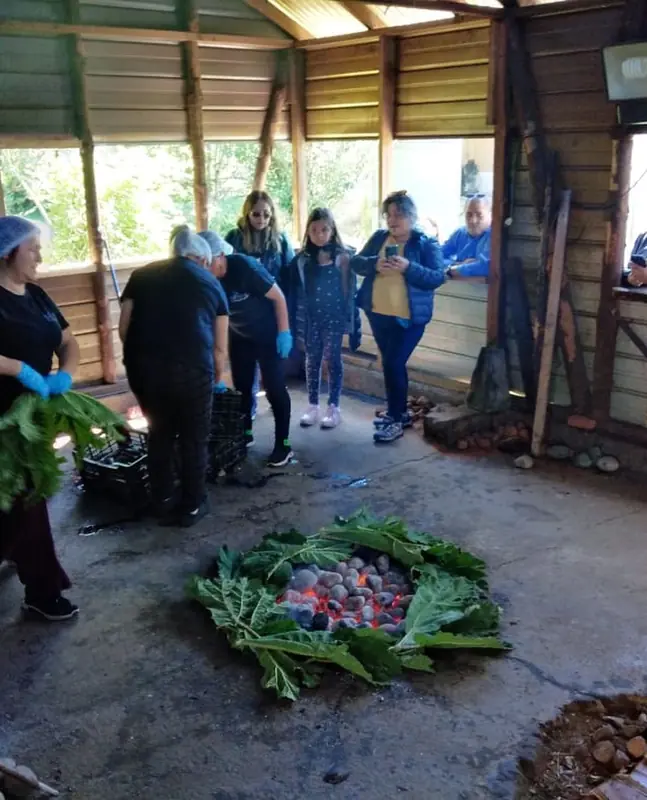 Curanto cubierto con hojas de pangue antes del tapado