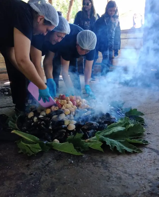 Preparación del curanto en hoyo, con mariscos sobre las piedras calientes