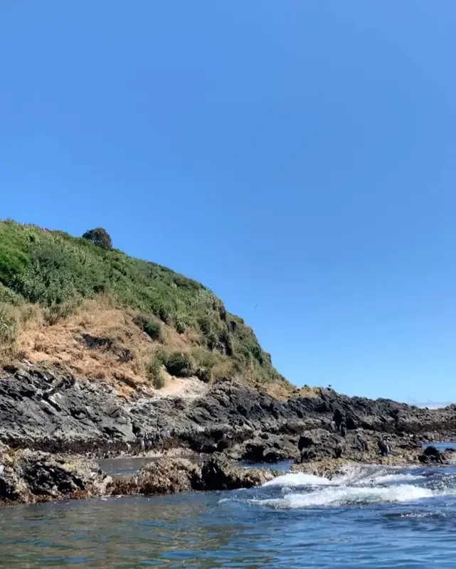 Costa rocosa de Puñihuil vista desde el bote