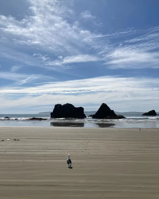 Playa de Puñihuil con sus islotes rocosos