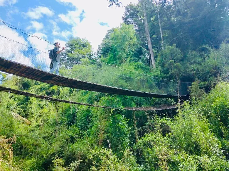 Puente colgante del Parque Yayanes sobre la quebrada